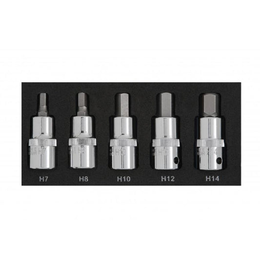 5PCE 1/2 Inch Hex Bit Set H7-H14 Eva Foam<br><br>