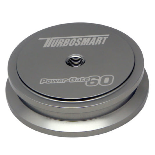 Turbosmart WG60 Welding Purge Bung  TS-0550-3079<br><br>